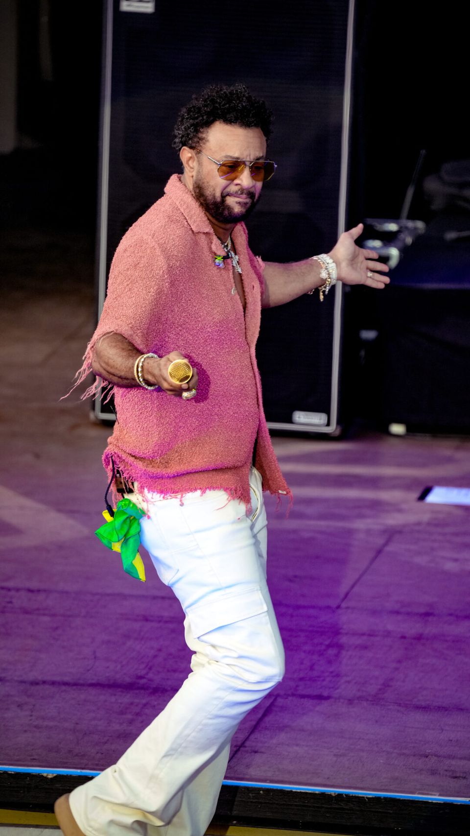 Shaggy — photo 12