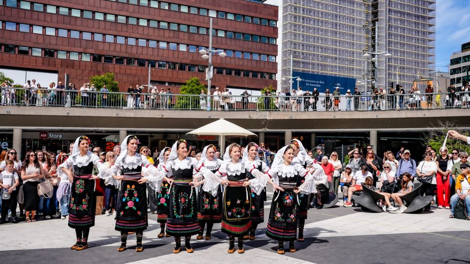 Serbian Folk Dance — photo 115