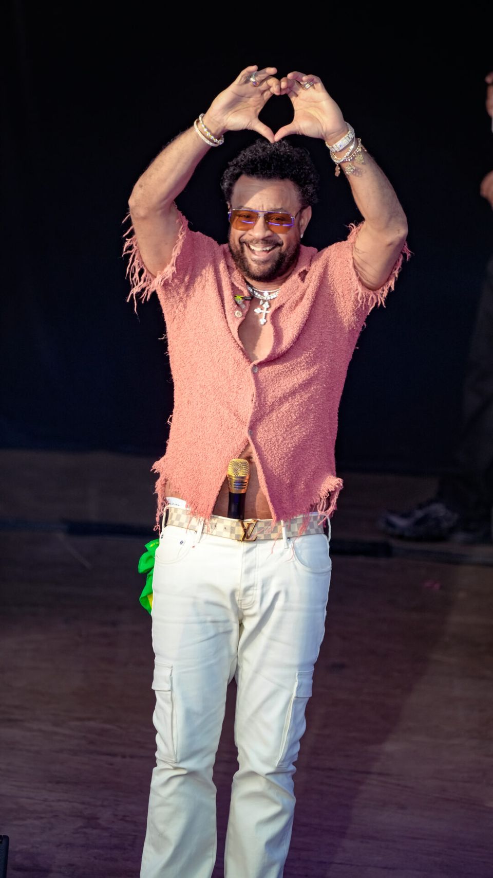 Shaggy — photo 10