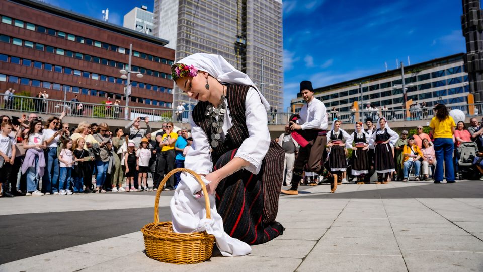 Serbian Folk Dance — photo 15
