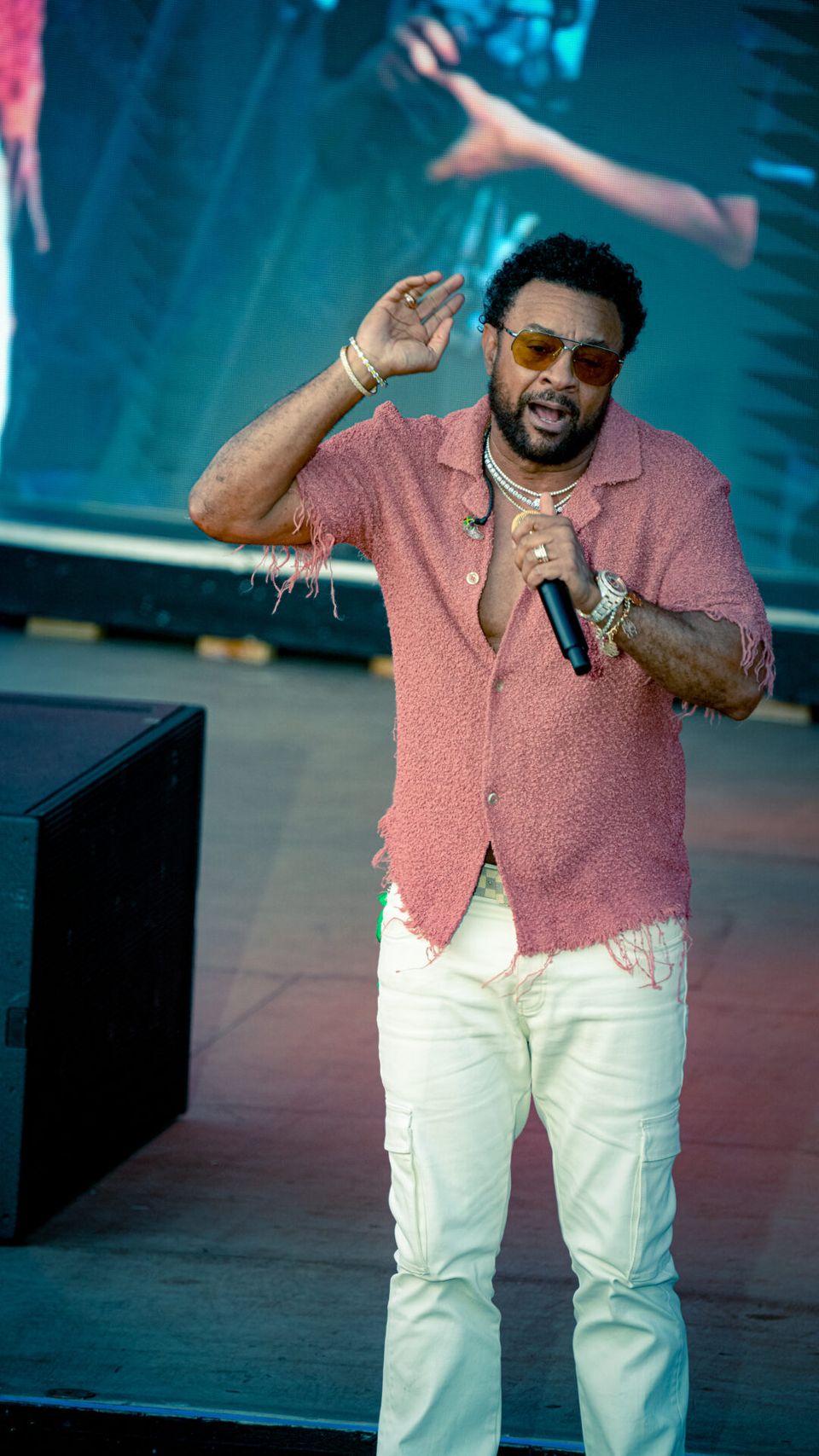 Shaggy — photo 8