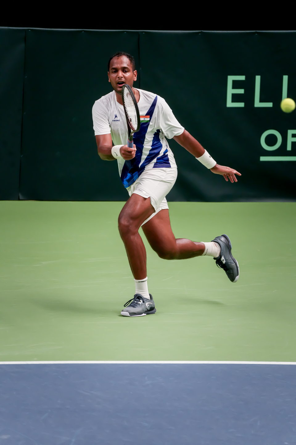 Davis Cup - Sweden/India — 29