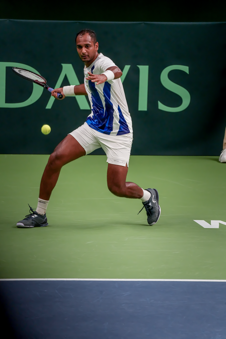 Davis Cup - Sweden/India — 28
