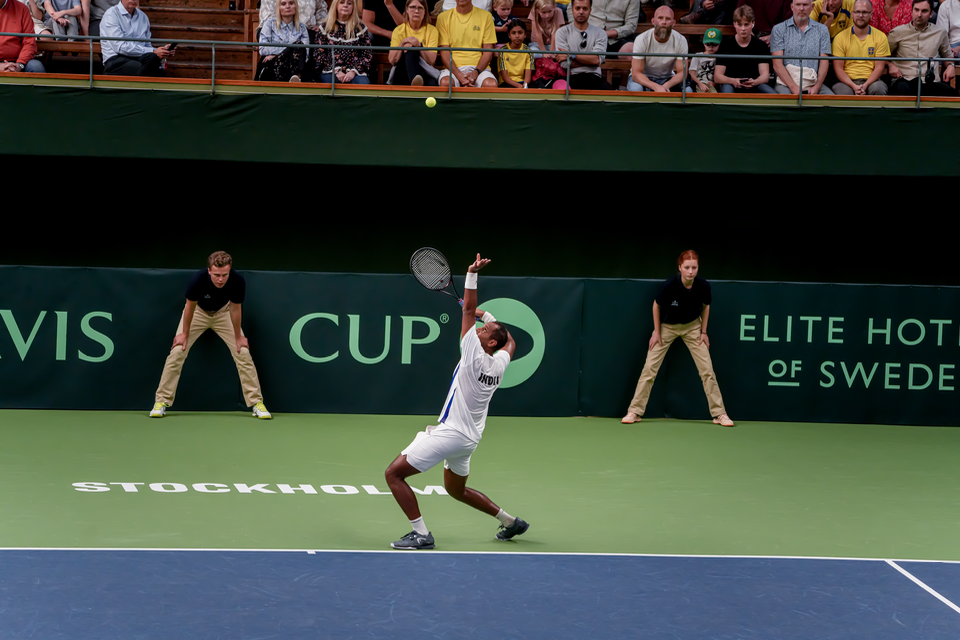 Davis Cup - Sweden/India — 24
