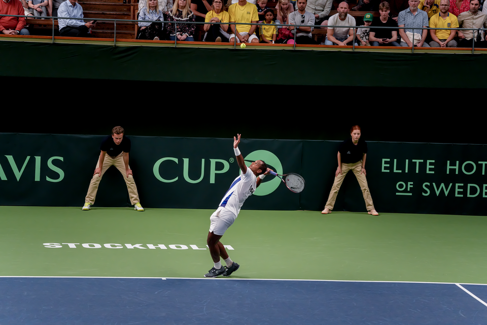 Davis Cup - Sweden/India — 23