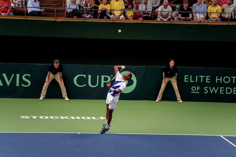 Davis Cup - Sweden/India — 22