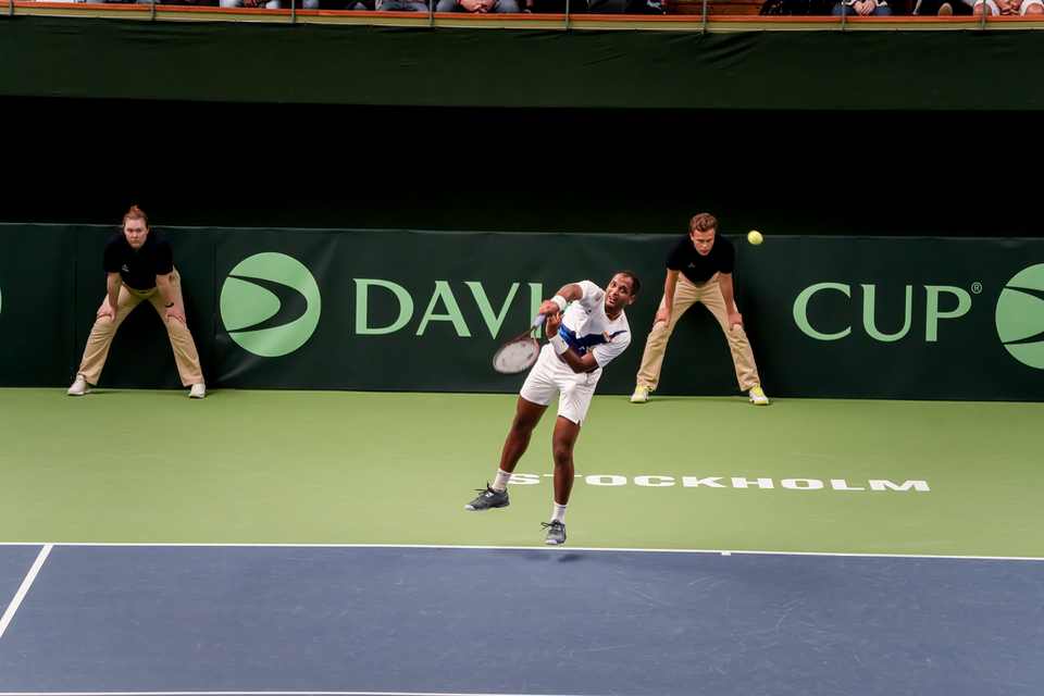 Davis Cup - Sweden/India — 21