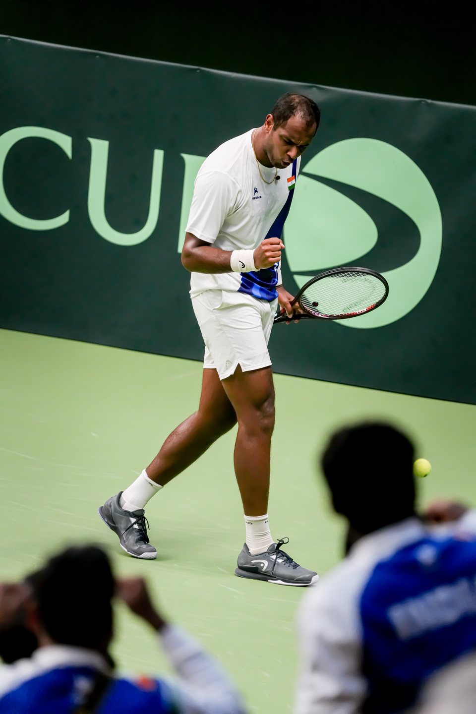 Davis Cup - Sweden/India — 14