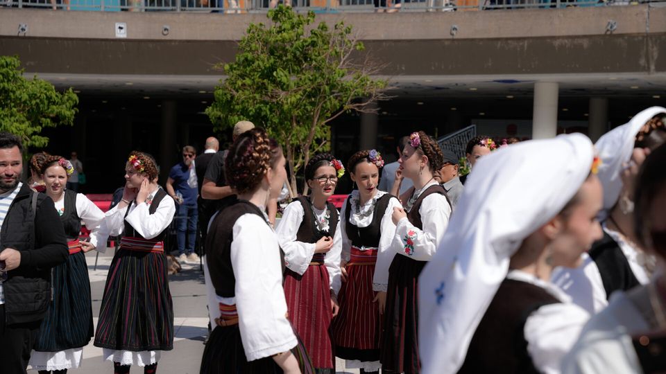 Serbian Folk Dance — photo 4