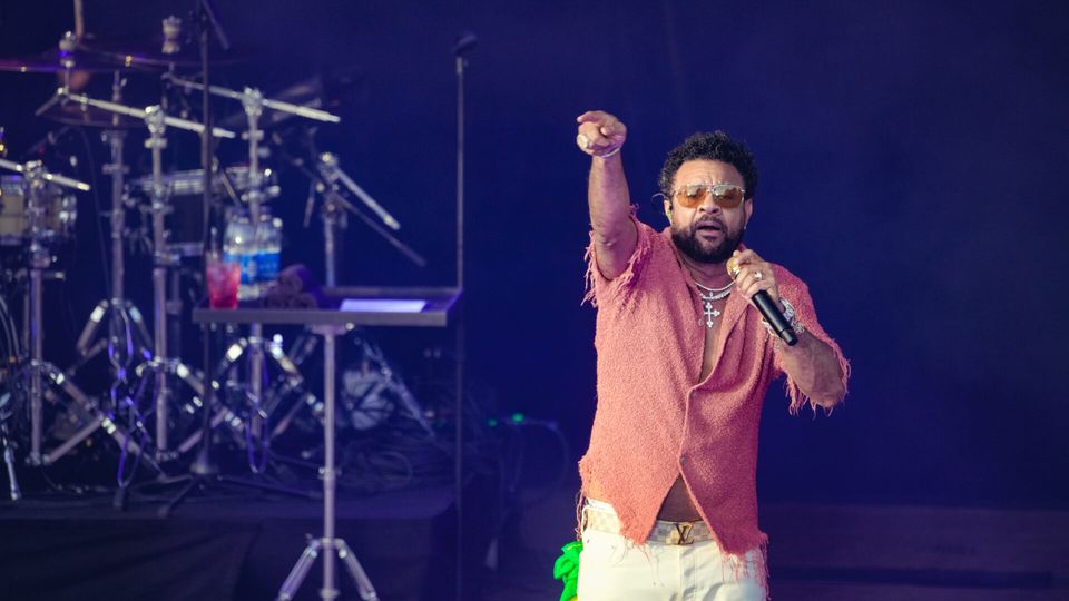 Shaggy — photo 3